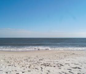 壳海滩橙色海滩