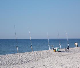 冲浪钓鱼海湾海岸